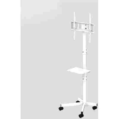 GEMBIRD TV FLOOR STAND TILT WITH CASTER WHEELS 32'-55' WHITE